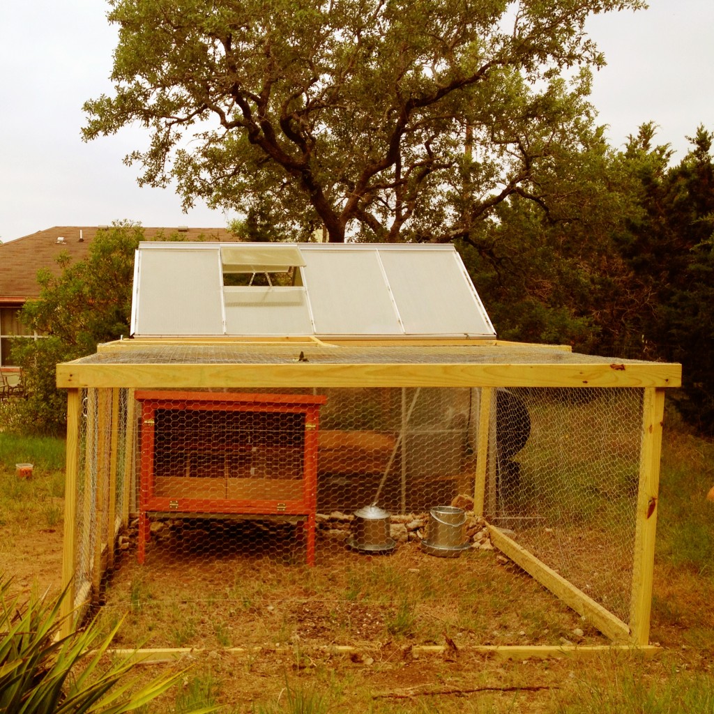 Miranda Lowry's Chicken Coop in Texas