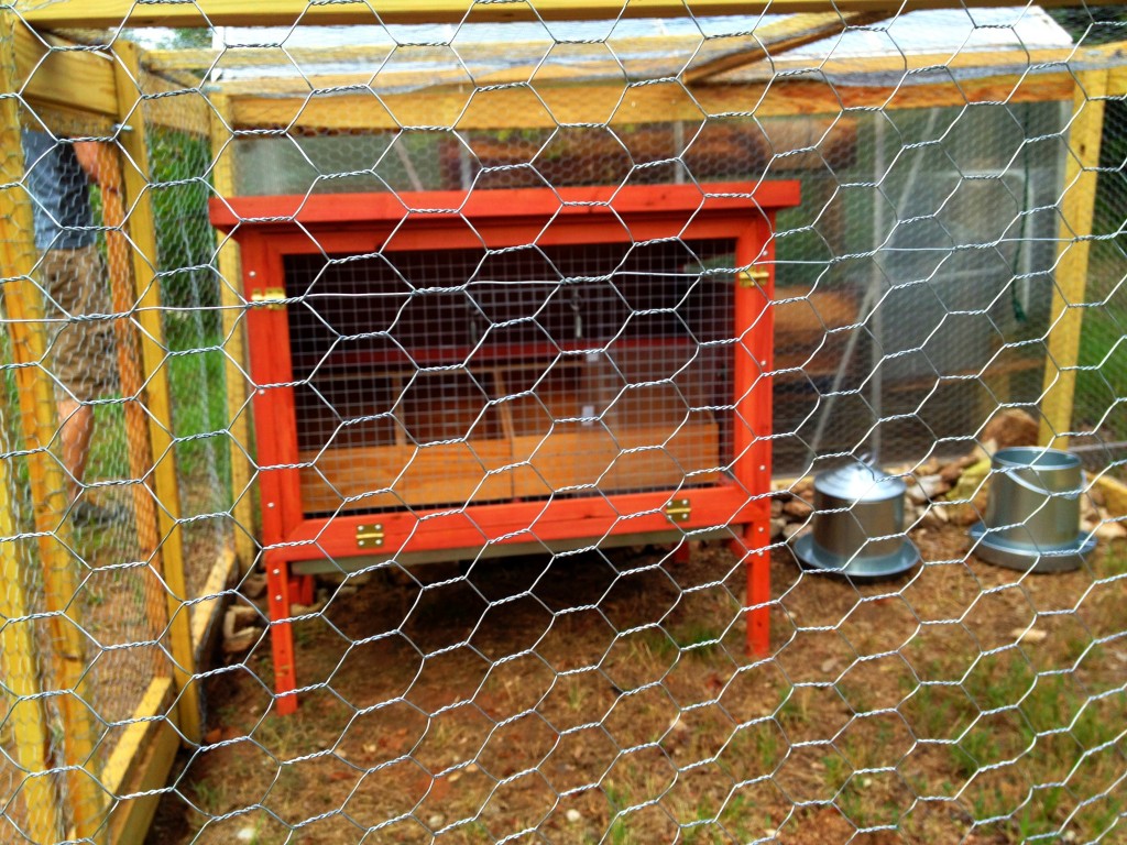 Miranda Lowry's Chicken Coop