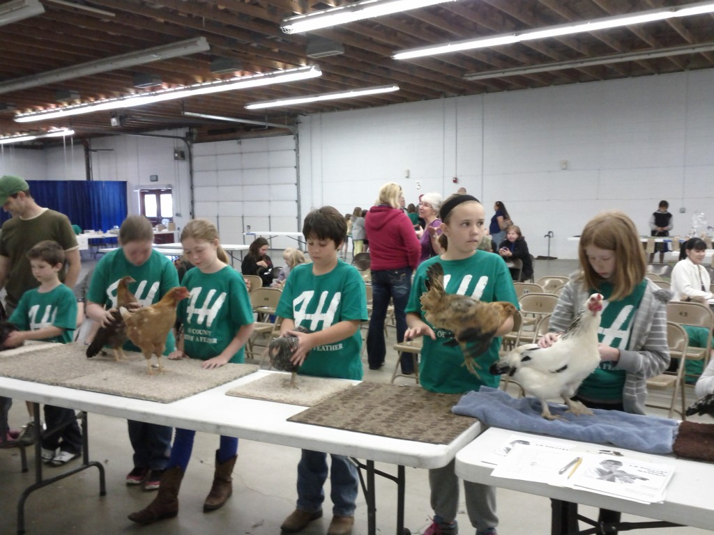 4H Poultry Clinic in Boise Idaho - June 2013