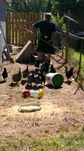 Donald Wilson Herding his Hens 