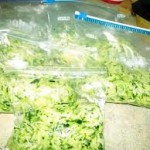 Bags of Shredded Zucchini That You can Freeze and Feed as Cooling Treat to Hens 