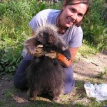 Jessy Coltrane and Porcupine