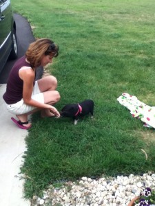 Giene working with a pot-bellied pig - photo courtesy of Giene Keyes