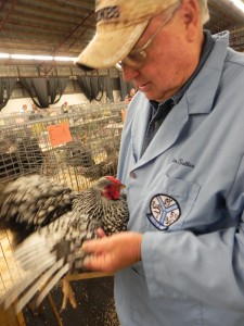 Judging Chickens - photo courtesy of PNPA 