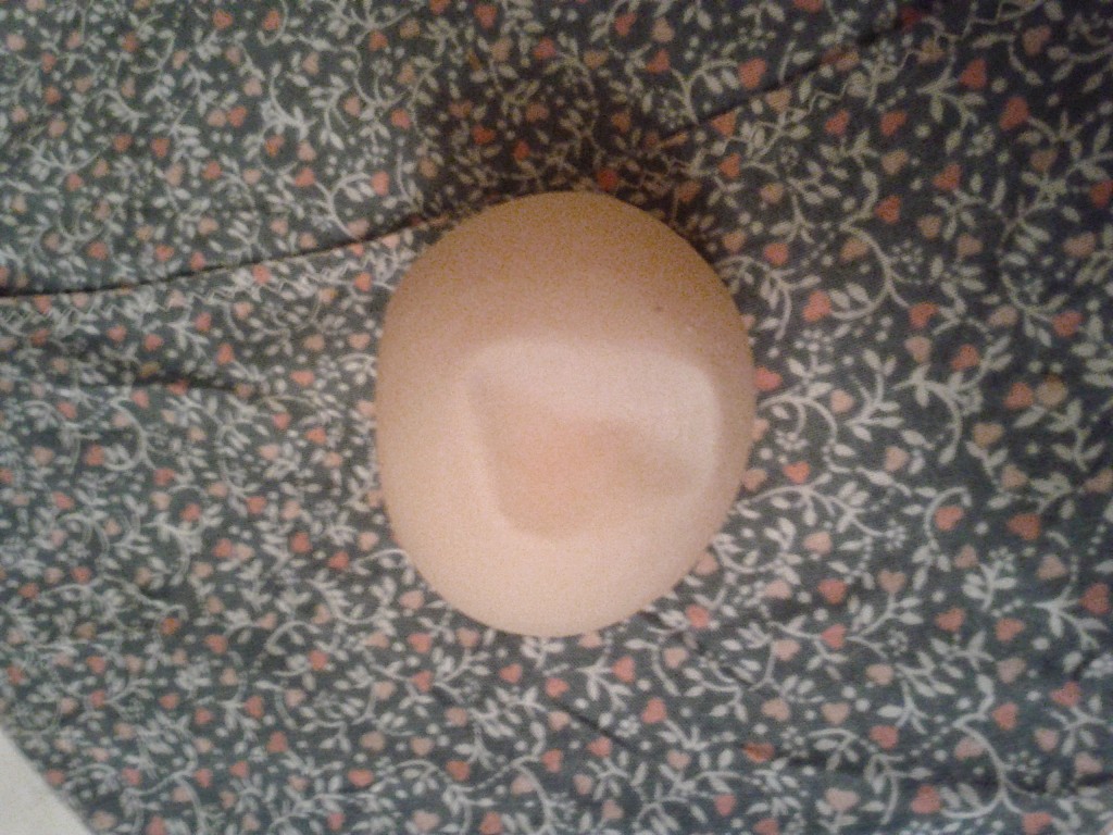 Beatrix's Soft-shelled Egg - photo by Jen Pitino