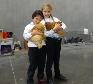 Miss Logan and Holly Ackerman showing their chickens "Michael Jackson" and "Foxy" at the PNPA Fall 2013 Show