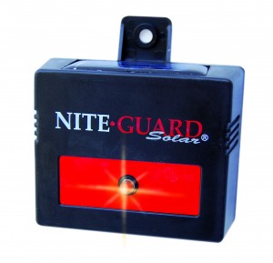 Nite Guard Solar Product Picture_High Res