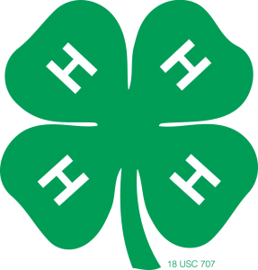 4H-clover-color