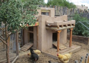 adobe chicken coop - photo found on pinterest