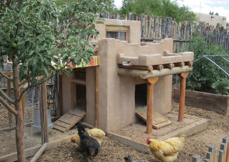 Urban Chicken Podcast - Pending Arizona "Chicken Bill" | Urban Chicken 