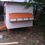 Three Nesting Boxes - photo by Kimberly Swenson