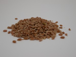 Wheat berries