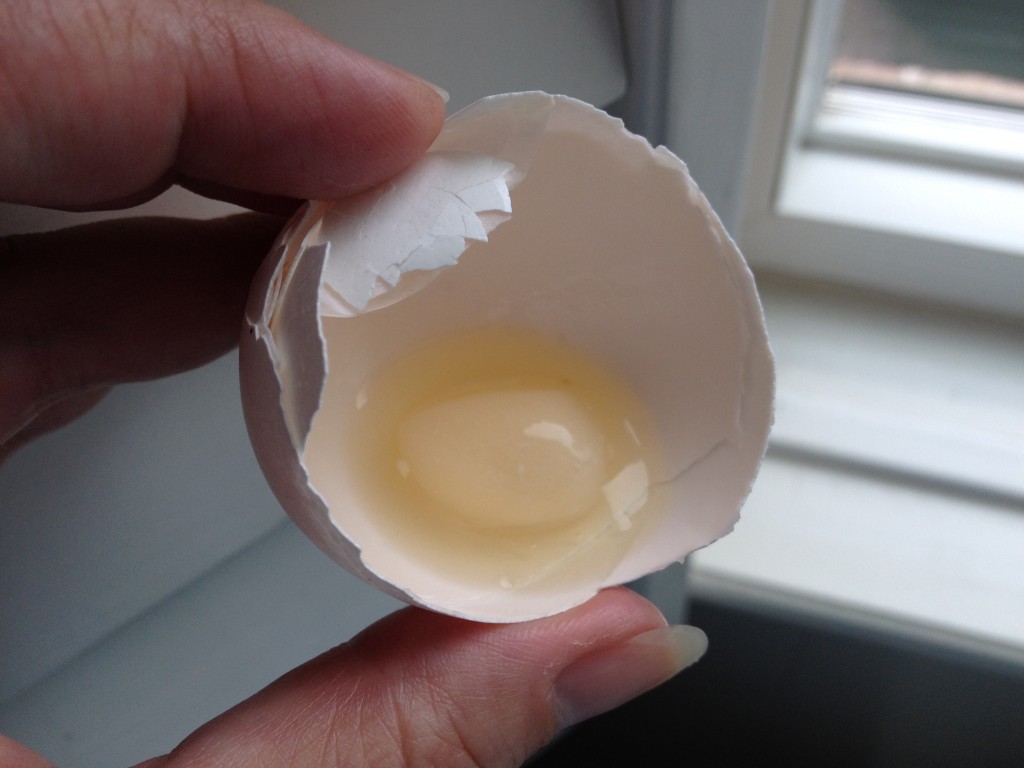 Mini Egg Inside an Egg - Photo Courtesy of Linda Alvarado