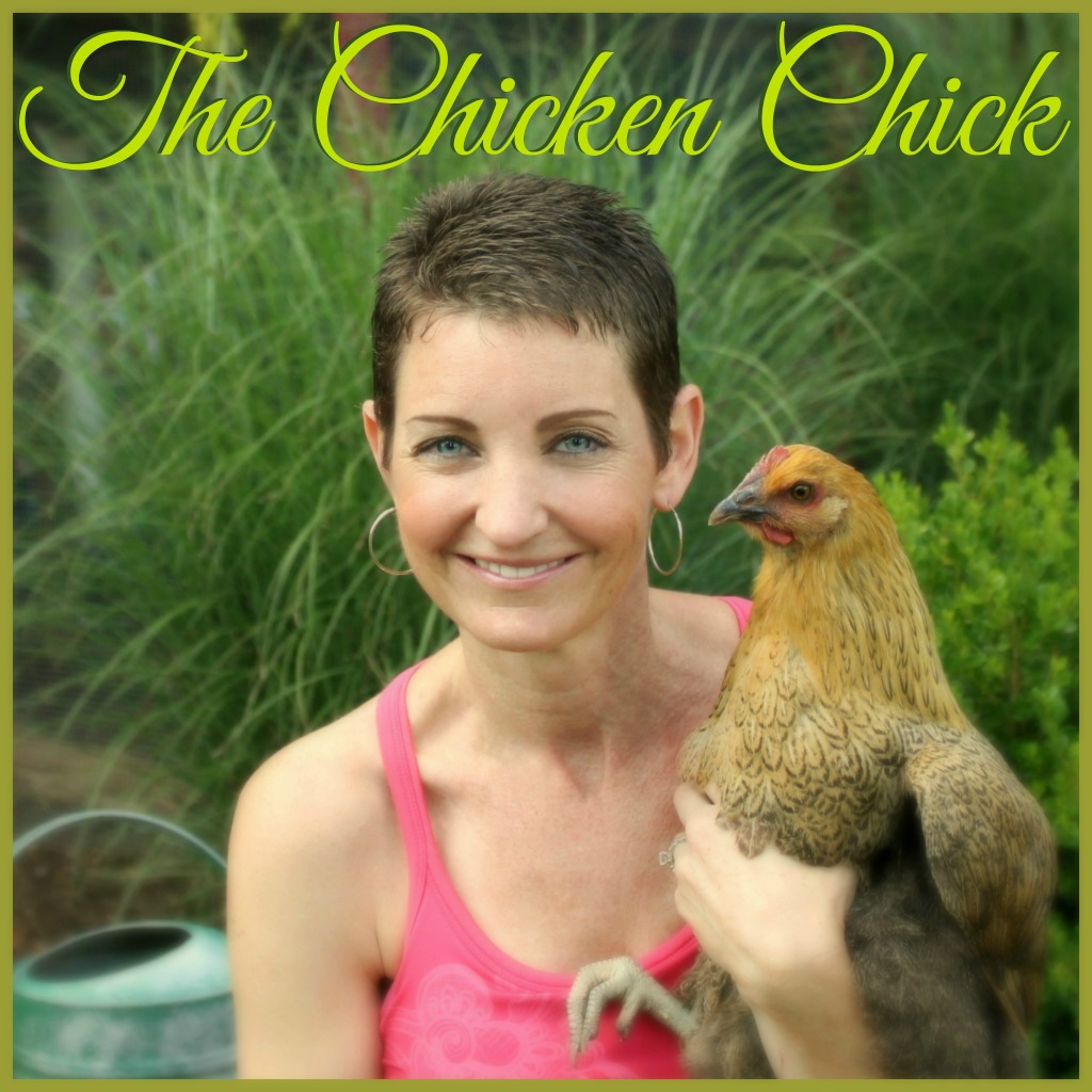 Kathy Shea Mormino (The Chicken-Chick) - photo courtesy of K. Mormino