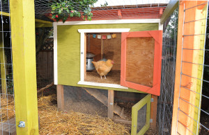 Our Chicken Coop - by Furtwangl