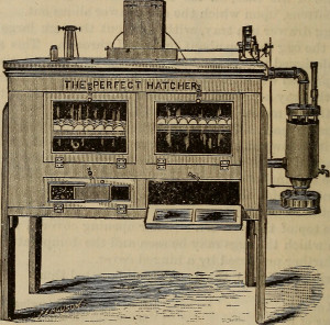 Incubator 1883 - Internet Archive Book Images 