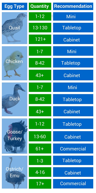 Incubator Analysis Chart - by Emily Baker